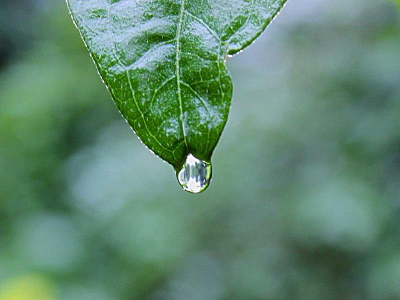 TK专业养号防封<br>新号老号规避风控稳定运营